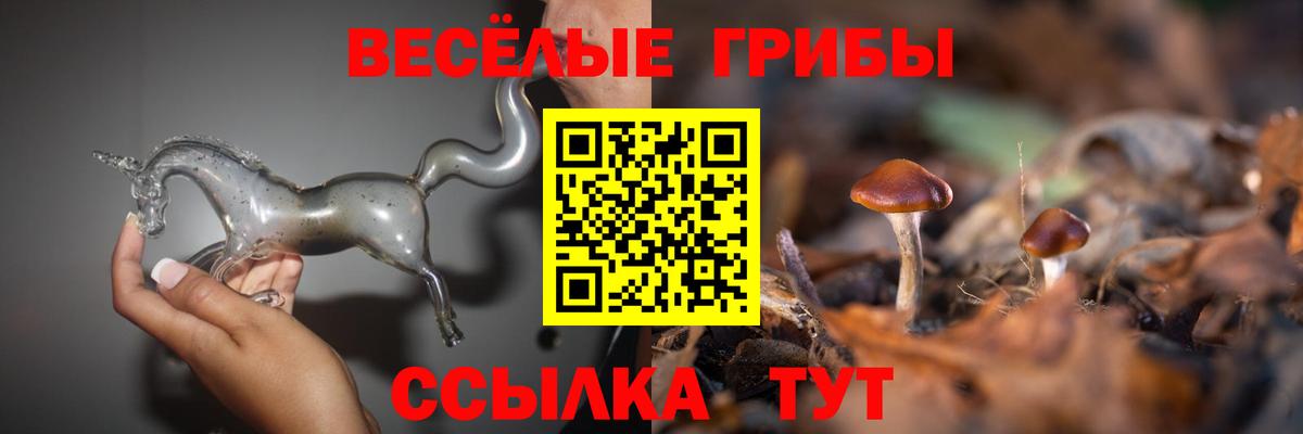 Нефтекамск  магазин  наркотиков  Вход с VPN  Псилоцибиновые грибы Magic Shrooms 