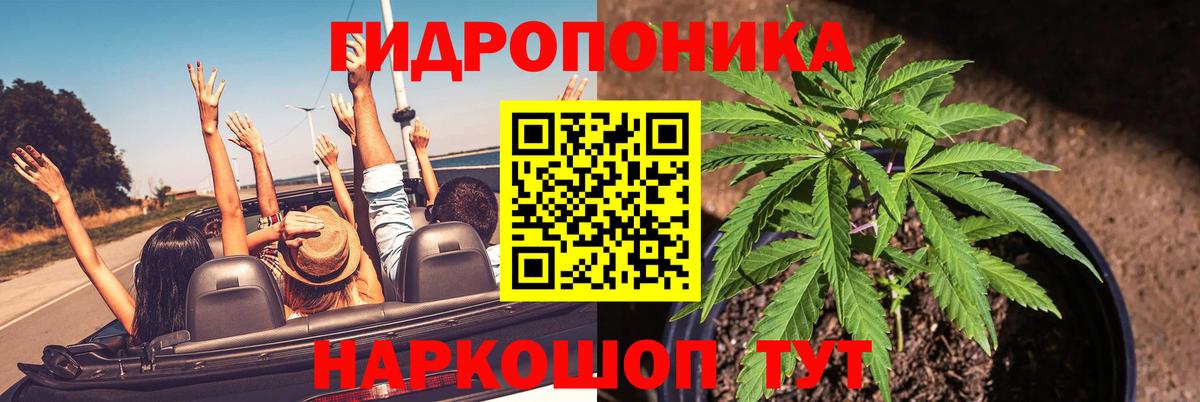 Бошки марихуана гибрид Нефтекамск